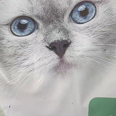 双十一国货猫粮推荐：网易严选鲜肉猫粮