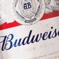 百威冰啤酒500ml*18听整箱装【99%好评】