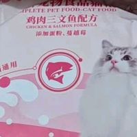 双十一囤货清单：奥丁猫粮必须给我家猫主子管够