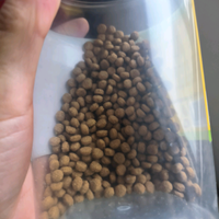 双十一必囤：给我家猫主子的奥丁猫粮
