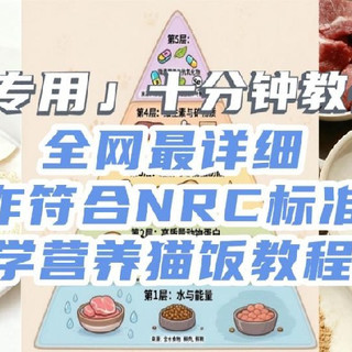 十分钟教会你，全网最详细制作符合NRC标准的科学营养猫饭教程！