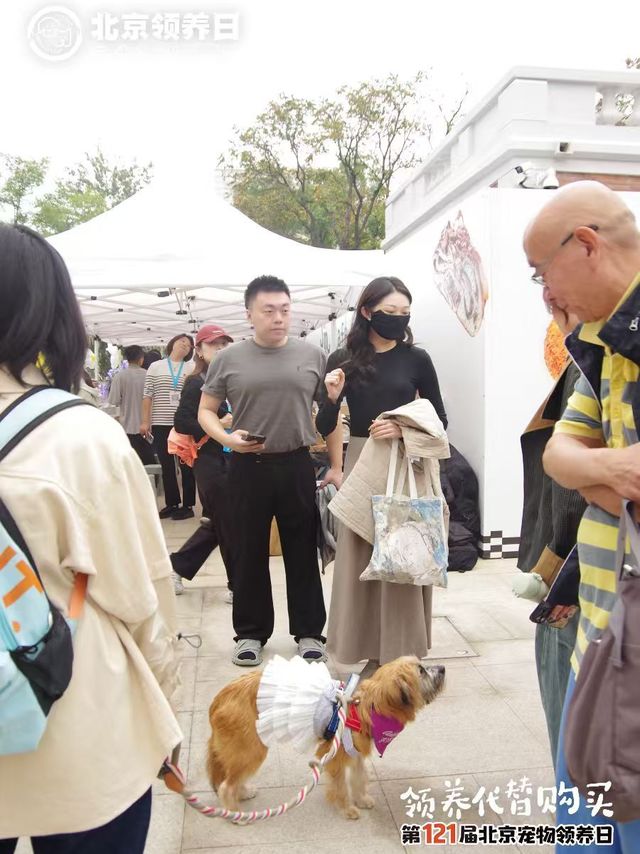 #北京领养日（超话）##第121届北京领养日# 在喧嚣之外，总有一些温柔的相遇，让公益这件事变得如诗般轻盈。今天，木木美术馆@M_WOODS木木美术馆 创始人晚晚@晚晚_ 和林瀚@林瀚_Linhan 