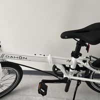 大行P8折叠车，都市骑行新选择