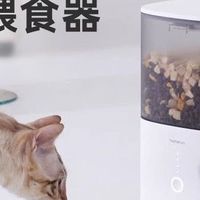 2025自动喂食器终极测:出差7天猫狗照样吃香喝辣！