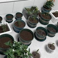 谁懂？种了3个小时，晚上却刷到是“工业废土”，花友：牢记一点