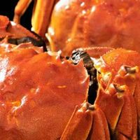 双十一选购大闸蟹：鲜掉眉的囤货攻略