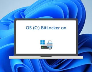 BitLocker又出事：Win11重装系统后，数据盘全被加密锁定！