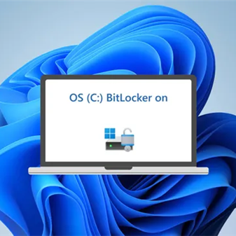 BitLocker又出事：Win11重装系统后，数据盘全被加密锁定！