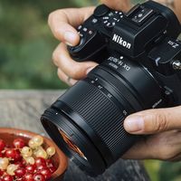 尼康两支DX镜头同日官宣｜恒定f/2.8的16-50mm与35mm微距，为入门机带来“轻巧+大光圈”的双解法