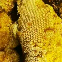 什么牌子的蜂蜜最好是正宗的?2025十大牌蜂蜜榜单，一文带您了解