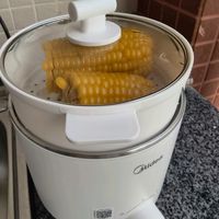 美的（Midea）电煮锅评测报告：简约实用，一人食的厨房好伴侣