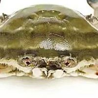 双十一必囤美食之梭子蟹：鲜掉眉的秋冬限定攻略