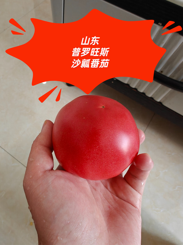 山东普罗旺斯沙瓤番茄，酸甜多汁，好吃的！