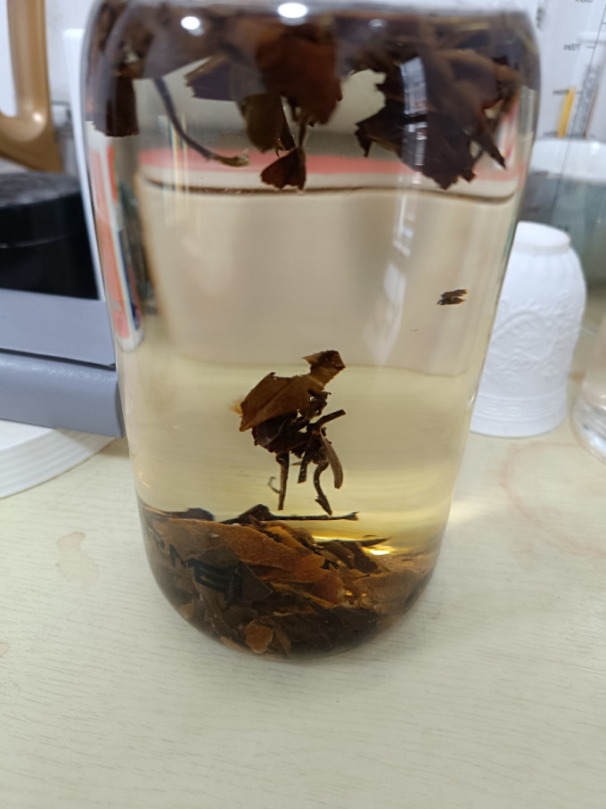 品品香白茶