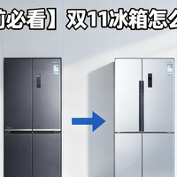双十一 篇零：【买前必看】双11冰箱怎么选？深度对比！严选嵌入、独立式冰箱！