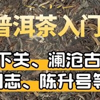 6个品牌的入门级普洱茶推荐，帮您认识普洱生茶和熟茶