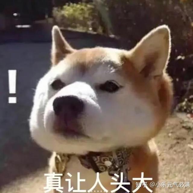 我以为自己肠胃虚，其实是菌群失衡｜专业人士推荐全菌种益生菌后改善了