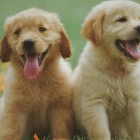 工程专业计算器，免安装即开即用