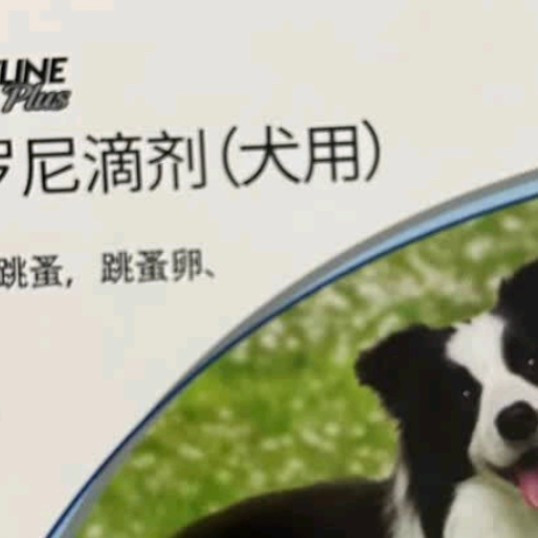 双十一养宠必囤好物推荐：福来恩 狗狗体外驱虫药滴