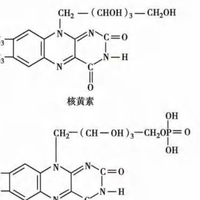 身体缺乏维生素 B2 有哪些症状表现?