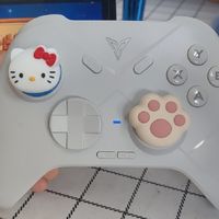 飞智冰原狼2游戏手柄：跨平台玩家的全能搭档