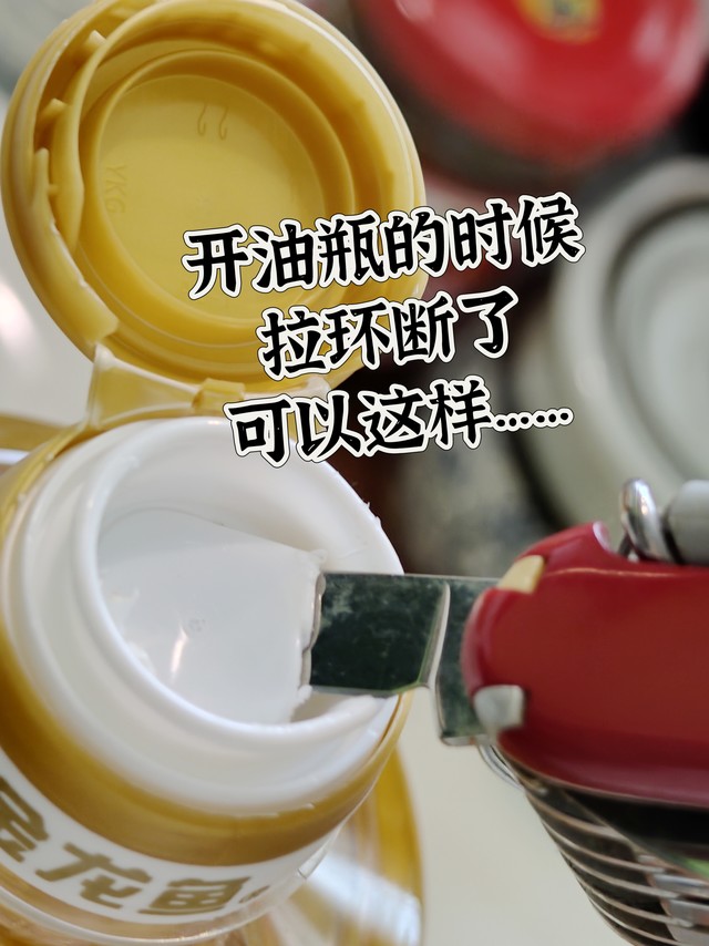 开油瓶的时候拉环断了……果然，这个可以用几十年（一辈子吗？）