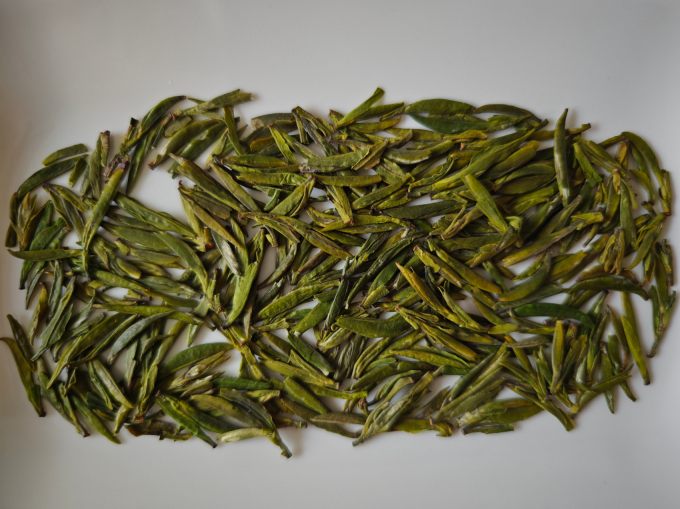 竹叶青绿茶