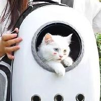 双11养宠必囤！透明太空舱猫包，外出带宠超省心