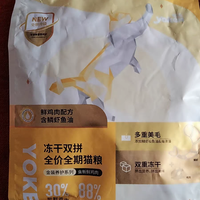 狸花猫吃什么猫粮比较合适？国产猫粮排名前十品牌