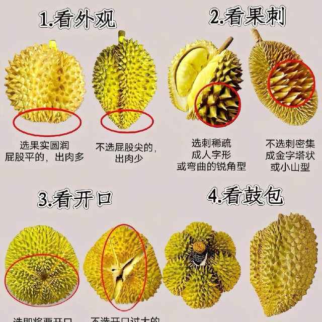 挑选榴莲的实用方法与注意事项