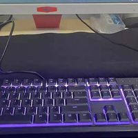 雷蛇雨林狼蛛V3X套装双十一盛典