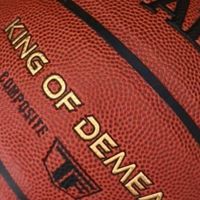 室内外通杀！斯伯丁TF系列77-176Y篮球，成人青少年都爱用