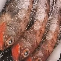 在家轻松做硬菜！金唐鲜冻野生海石斑鱼鲜嫩无刺超鲜醇