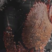 金唐鲜冻野生金刚蟹肉满膏肥的海味狂欢