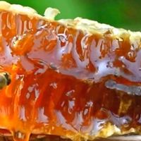 蜂蜜哪个牌子好又纯正？2025年十大品牌榜单揭晓,建议收藏