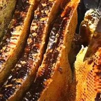 蜂蜜什么牌子的比较正宗?哪个牌子的蜂蜜香甜又正宗?建议收藏！