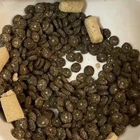 蓝氏猎鸟乳鸽猫粮体验报告