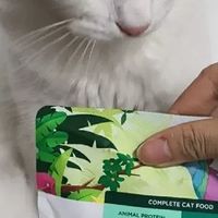 双十一囤蓝氏猫粮，猫咪健康无忧