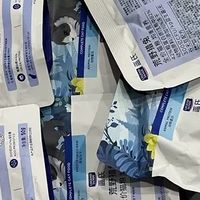 蓝氏猎鸟乳鸽猫粮喂养体验