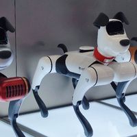 九号的机器狗。还是挺可爱的。