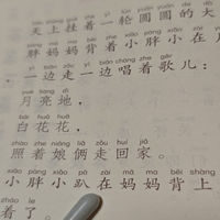 六岁孩子独立读书日记