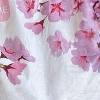 养猫幸福感飙升！这款樱花混合猫砂太懂铲屎官了