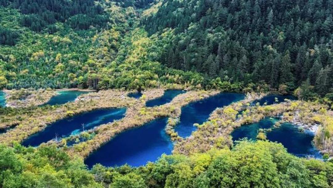 九寨沟烤肠测评：高原徒步者的能量密码与舌尖上的旅行仪式感