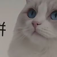 优质猫粮推荐：渴望与爱肯拿