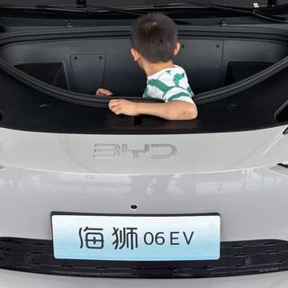 比亚迪最具辨识度的SUV，双眼皮海狮06ev上市了，中年男人的最爱