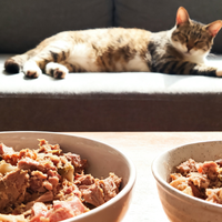 自制猫饭和猫粮哪个好？自制猫饭可以代替猫粮吗？自制猫饭的做法