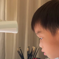 孩子写字慢？多档调光护眼灯更实用！看儿童护眼台灯排行榜推荐。
