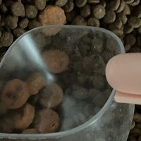 中小型犬专用鲜肉冻干犬粮