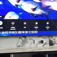 55英寸OLED电视的极致视听