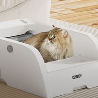 希喂CEWEY C9自动猫砂盆解决出差焦虑